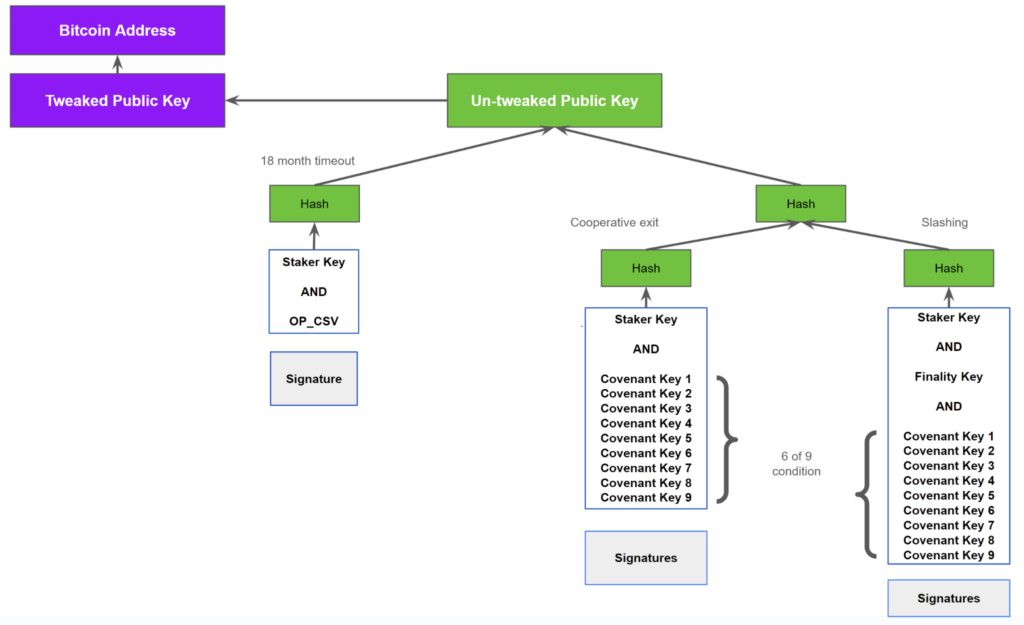 What is Taproot in Bitcoin – Exploring the Future of Privacy and Efficiency